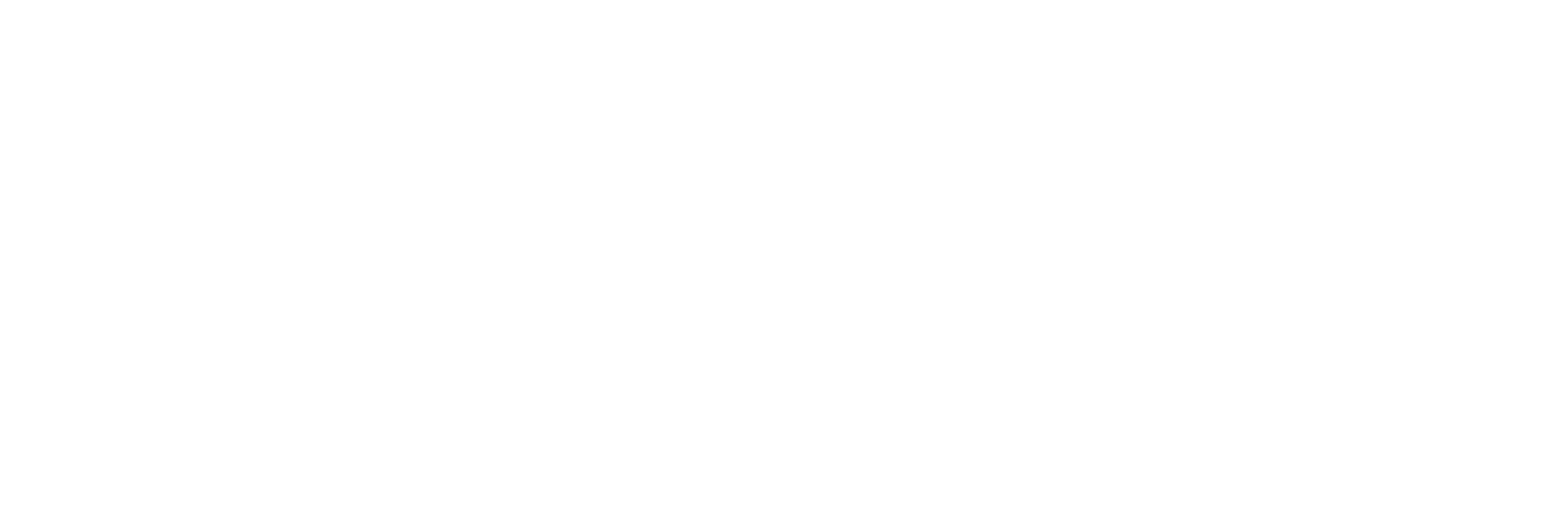 Black Dingo Studios